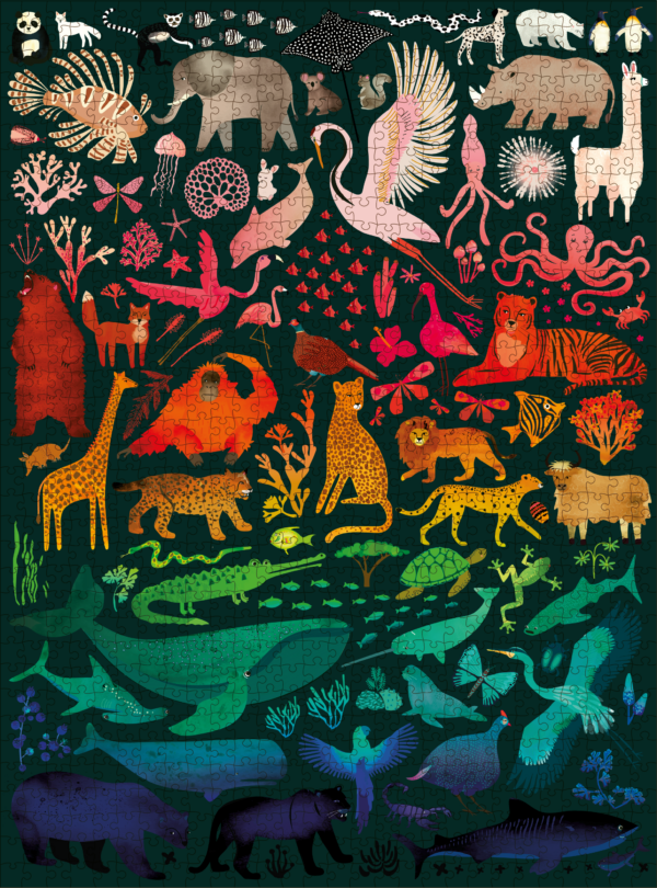 elena essex rainbow kingdom 1000 piece jigsaw puzzle